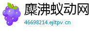 麋沸蚁动网